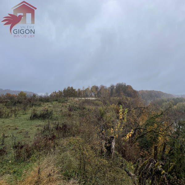 Offres de vente Maison Bart 25420