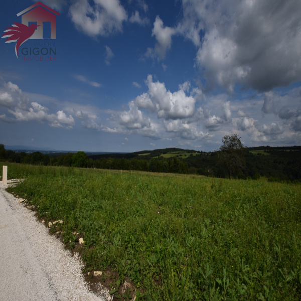 Offres de vente Terrain Écot 25150